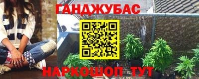 твердый Кингисепп