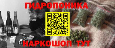 мдпв Кимры