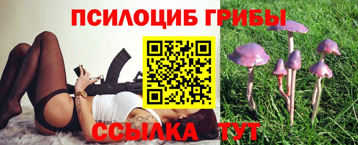 Псилоцибиновые грибы Magic Shrooms  Вход с VPN  Псилоцибиновые грибы мицелий  Тавда 